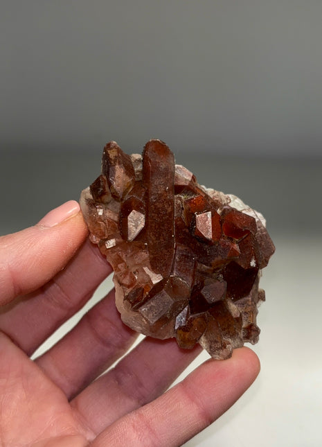 Red Chocolate Quartz