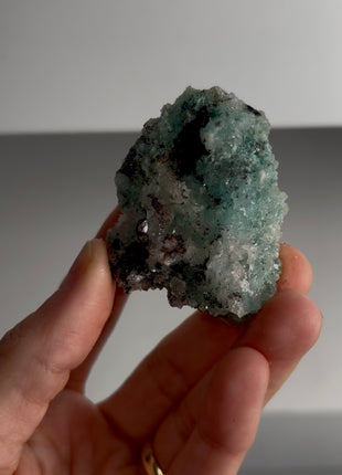 Caribbean Blue Aragonite