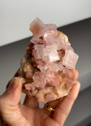 Pink & Yellow Bicolor Halite with Trona