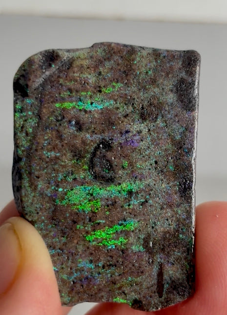 Australian Andamooka Fire Opal PM1142 🌈
