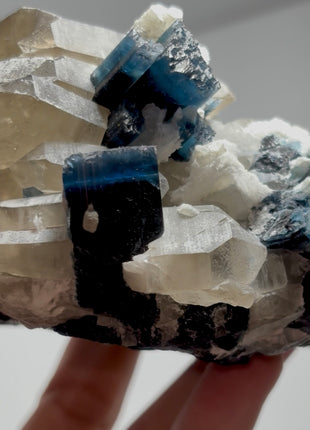 Blue Cap Tourmaline with Quartz PM1644