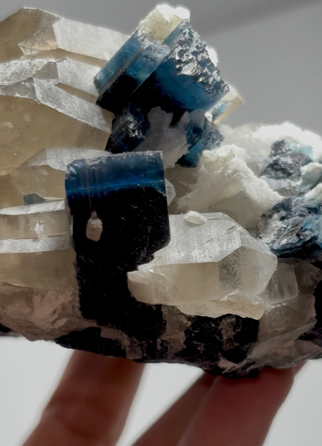Blue Cap Tourmaline with Quartz PM1644