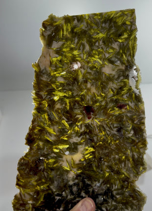 Green Actinolite in Quartz PM1681
