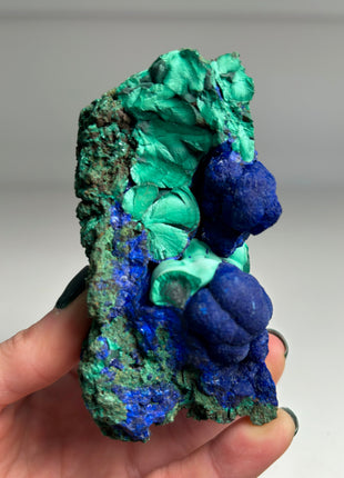 Blue Azurite Roses with Malachite Collection  # 307