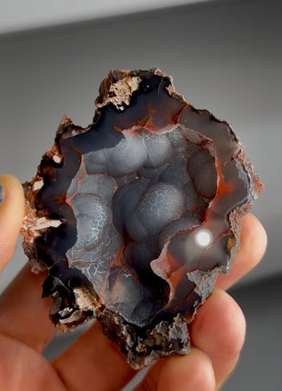 Silvery ! Red Fox Agate Geode from Argentina PM1538