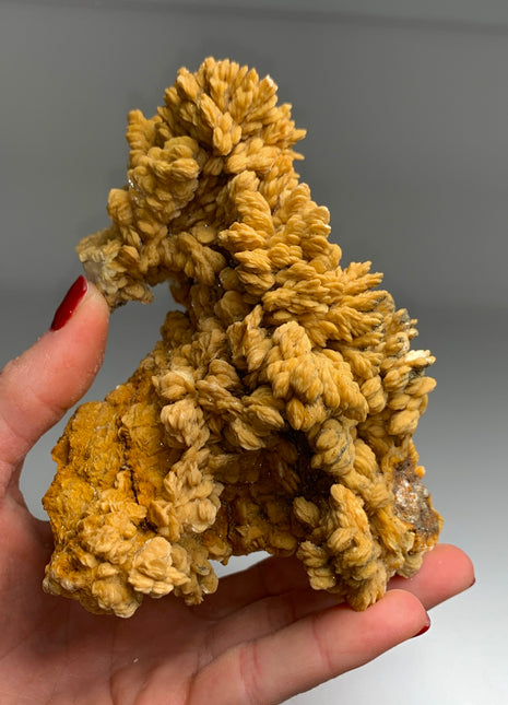 Yellow Barite Flower with Pyrite Collection # 041