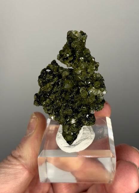 Forest Green Epidote with Quartz