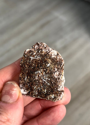 Astrophyllite Specimen from Khibniy Massif, Russia