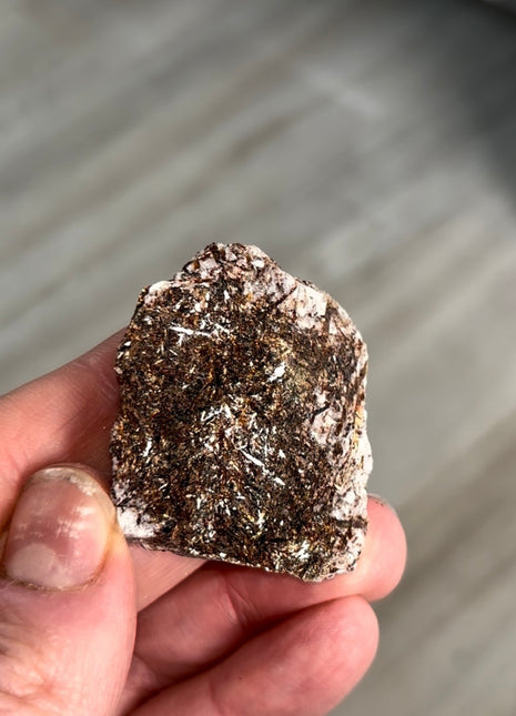 Astrophyllite Specimen from Khibniy Massif, Russia