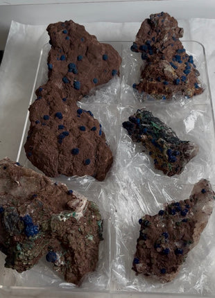 6 Piece Lot ! Rare Blueberry Azurite Specimens