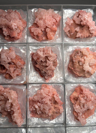 9 Piece Lot ! High Grade Pink Halite from Searles Lake, California