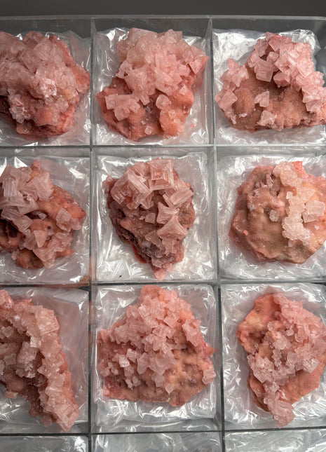 9 Piece Lot ! High Grade Pink Halite from Searles Lake, California