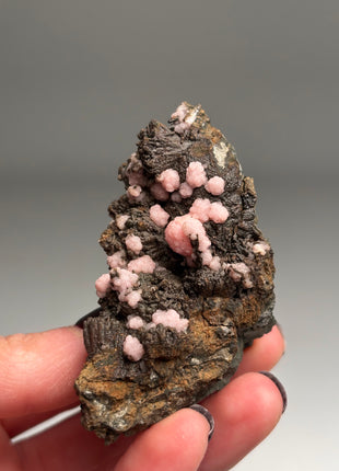 Pink Rhodocrosite with Neotocite - From Potosi mine