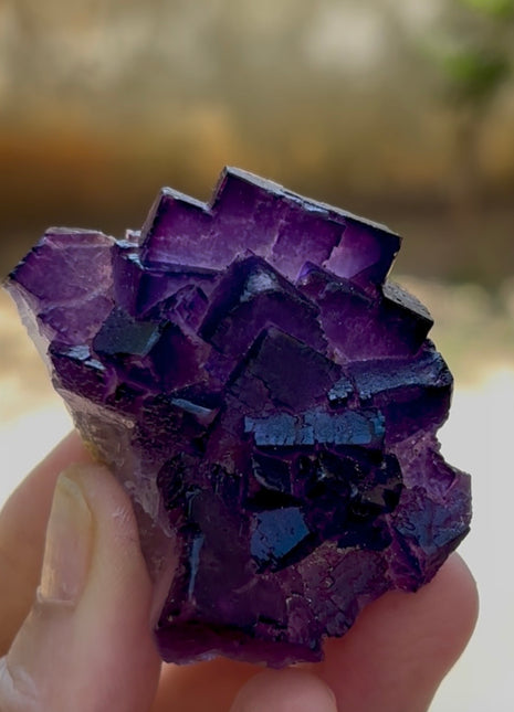 New find ! Fluorite from Turkey PM1054