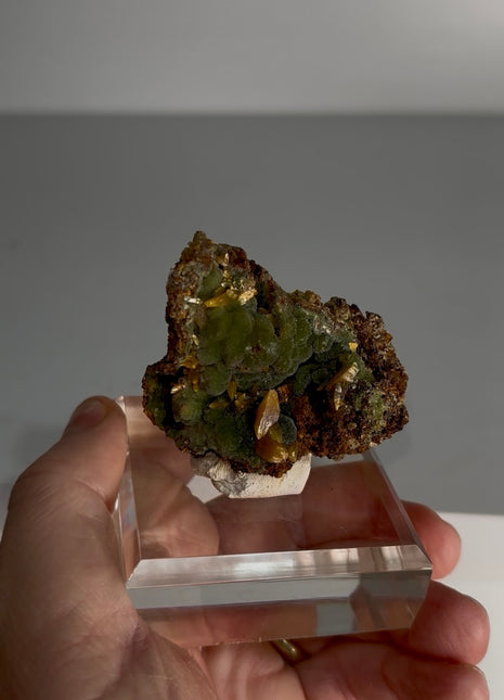 Wulfenite with Mimetite Specimen