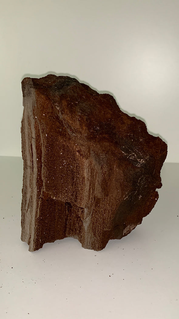 Stunning and Rare Permineralized Fossil Wood with Quartz - 2.8 kgs, From Germany 🔥