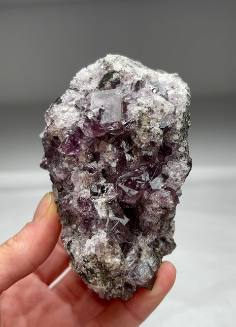 Purple Fluorite Collection # 521