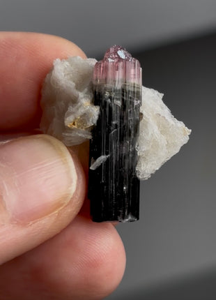Pink Cap Tourmaline PM0677