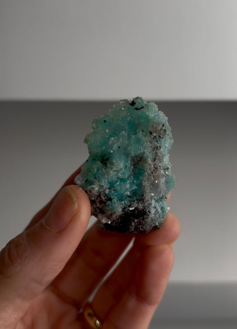 Caribbean Blue Aragonite