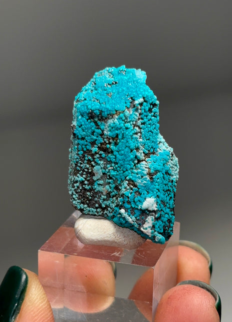 Quartz with Blue Chrysocolla