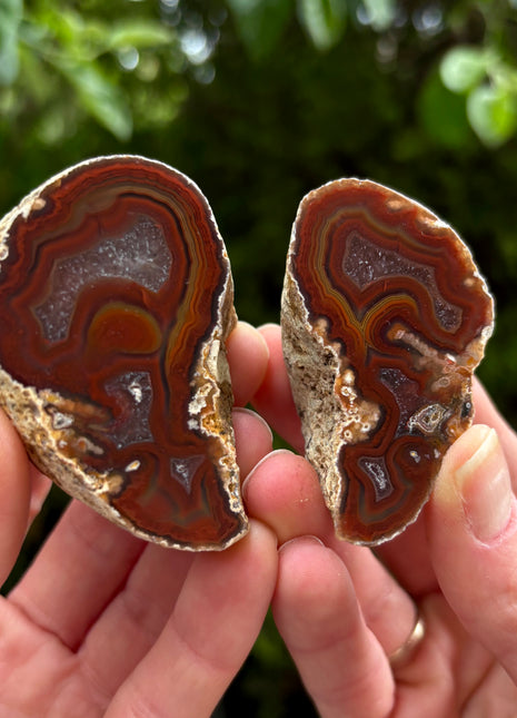 Very High Grade Black Sea Agate Pair