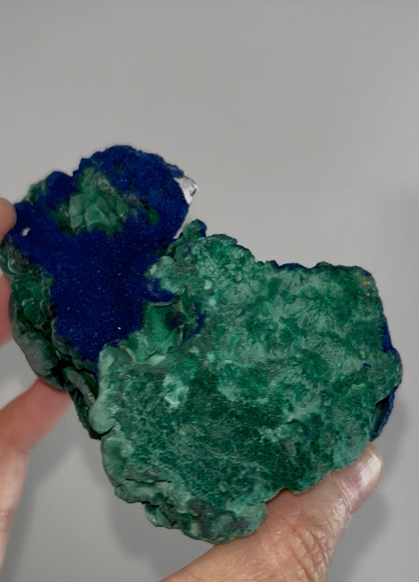 Vivid Blue Azurite with Velvety Malachite