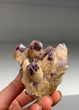 Amazing and Rare ! Phantom Amethyst Specimen - From Zambia