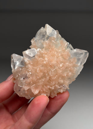 Apophyllite Flower with Pink Stilbite