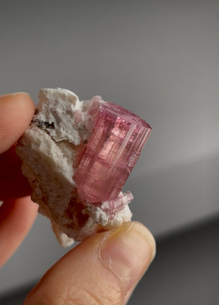 Gem ! Pink Tourmaline with Albite PM1478