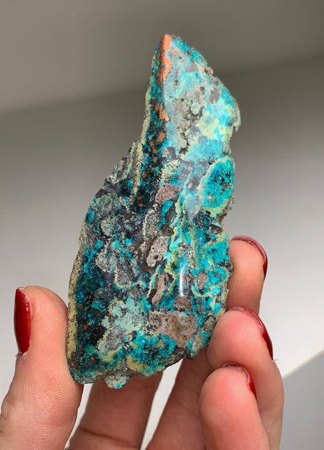 New ! Copper Ore and Blue Chrysocolla in Chalcedony !