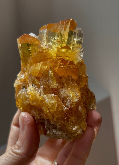 Gemmy Golden Honey Selenite from Peru 💎 PM0401
