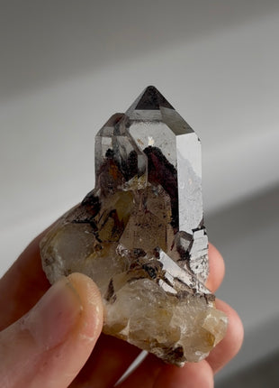 Amazing! Phantom Quartz PM0366