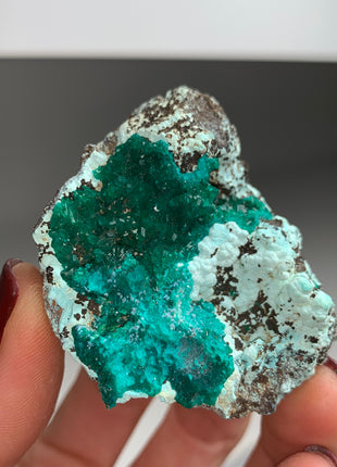 Lustrous Green Dioptase with Plancheite