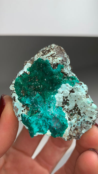Lustrous Green Dioptase with Plancheite