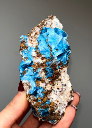 Amazing ! Blue Shattuckite Specimen