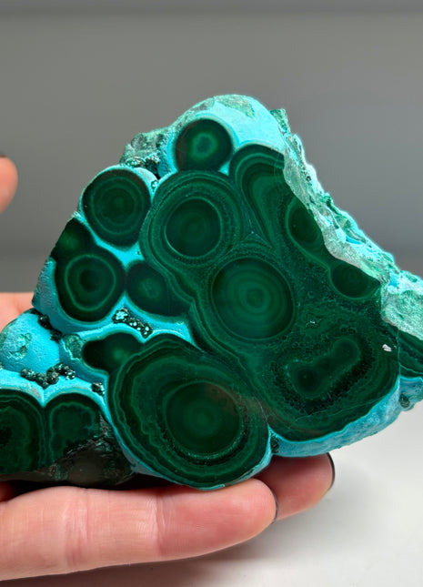 Top ! Blue Chrysocolla with Green Malachite Stalactite