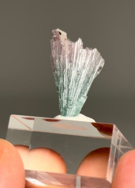 Pink Blue Bicolor Tourmaline Spray