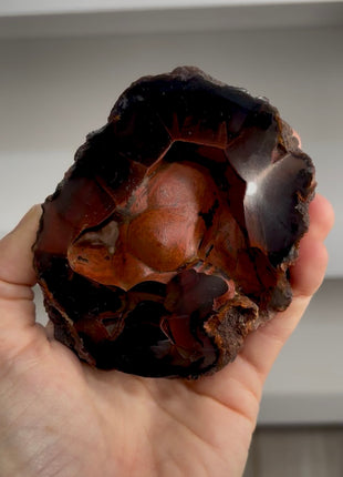 Red Fox Agate Geode from Argentina