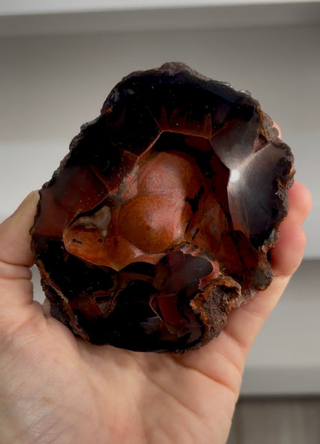 Red Fox Agate Geode from Argentina
