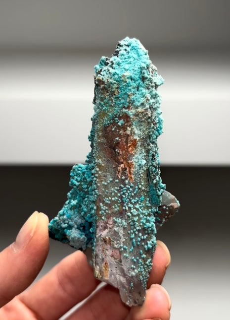 Blue Chrysocolla with Quartz