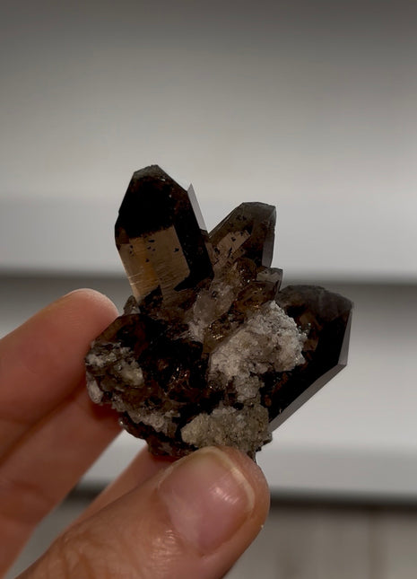 Smoky Quartz from Mont Blanc PM1130
