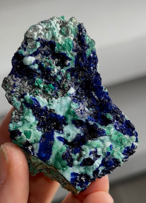 Blue Azurite and Green Malachite with Cerussite PM1407