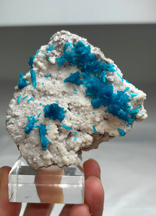 Electric Blue Cavansite Collection # 372