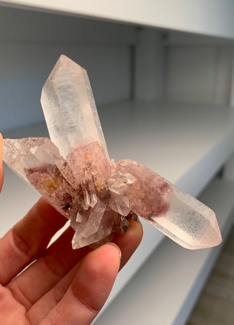 Great Phantoms ! Sunset Quartz 🔥 *