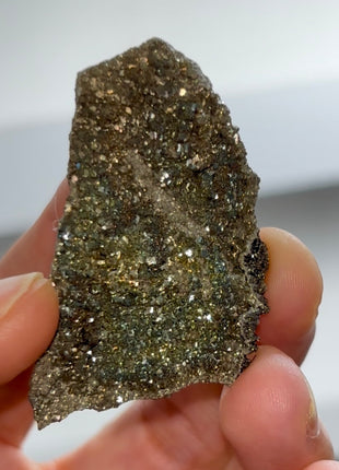 Rare ! Pyritized Petrified Wood PM0688