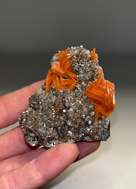 Orange Barite Flowers with Cerussite and Galena