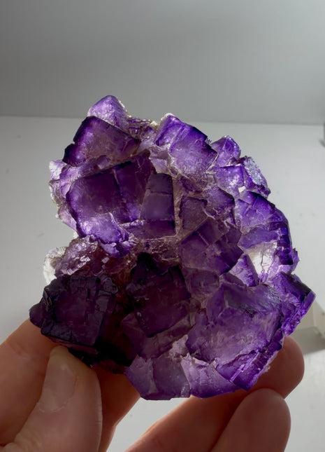 Incredible Color ! Fluorite from Turkey PM0888