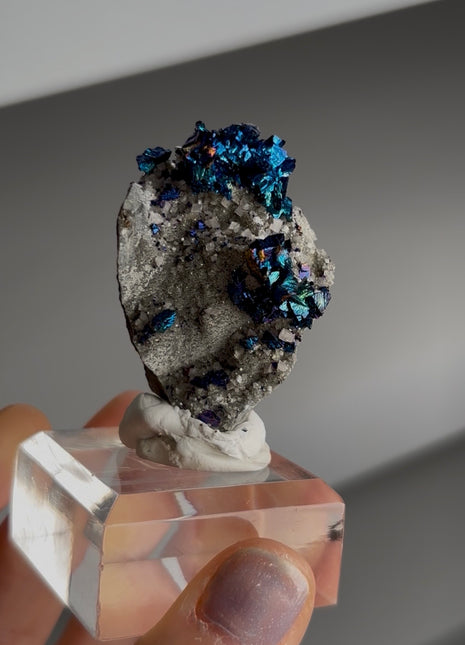 Blue Chalcopyrite from Sweetwater mine Collection # 729