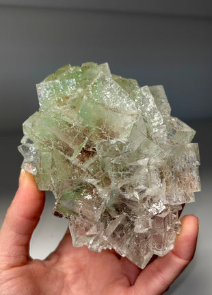 Multicolor Gemmy Halite Specimen