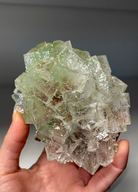 Multicolor Gemmy Halite Specimen